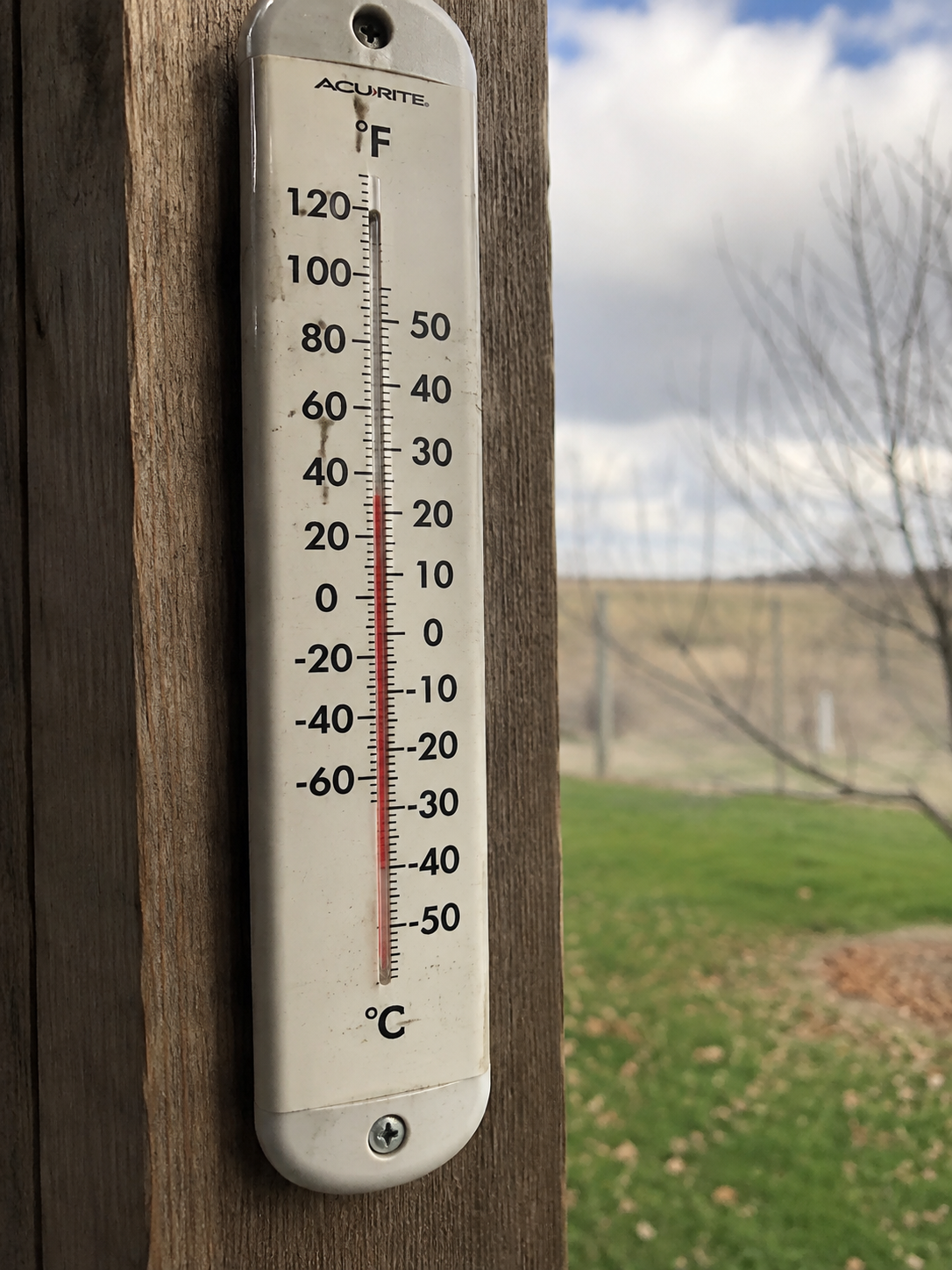 Temperature forecast visualization